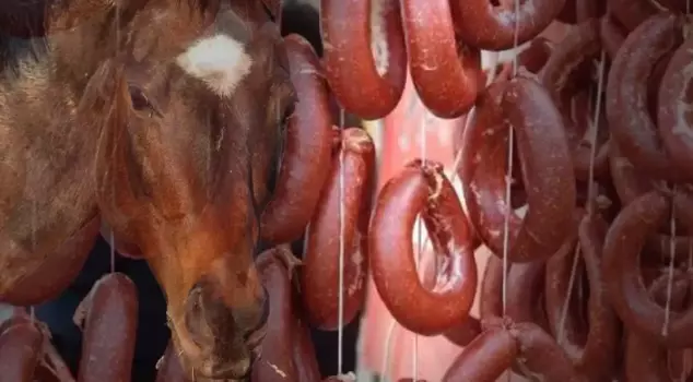 They fed the citizen horse meat! The ministry revealed both the brand and the province where it was produced.