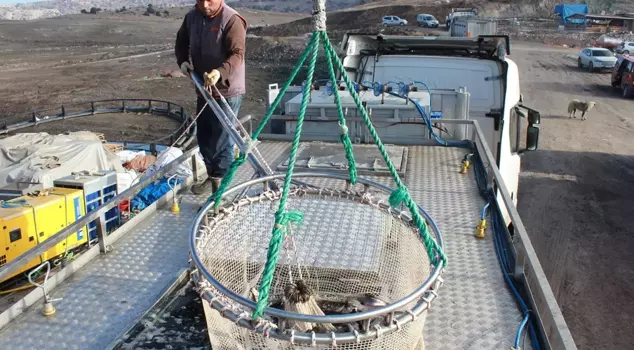 Bozkırın ortasında yetişti, Rusya ve Japonya yolcusu oldu. 

في وسط السهوب نشأ، وأصبح مسافرًا إلى روسيا واليابان.