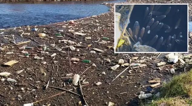 بِرْنَة مَنْدَرِيس الكَبِير يُعْطِي إِشَارَةً، أَصْبَحَ سَودَاءَ كُلِّيَةً.