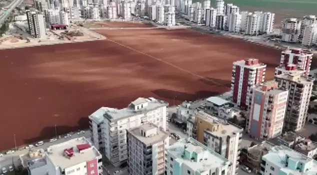 إليكم الترجمة إلى اللغة العربية:

