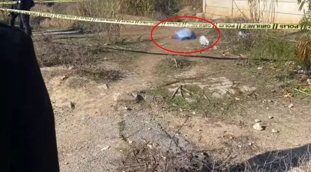 A woman's body was found by the roadside.