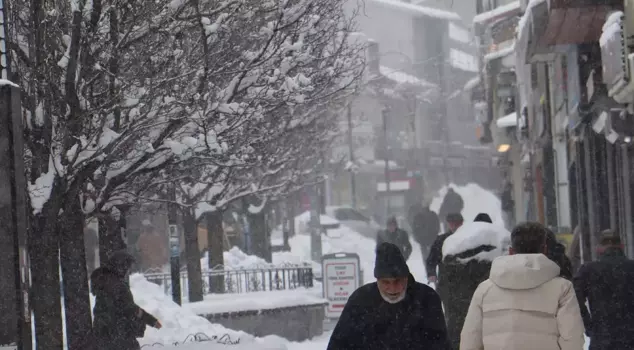 The East has frozen; 2 districts experienced minus 25 degrees.