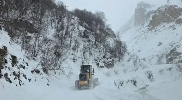 В Артвине произошло лавинообразное явление: пастухи могли оказаться под снегом.