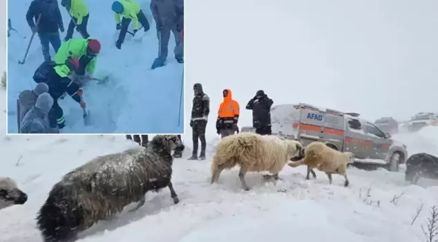 Sad news has come from the avalanche disaster in Artvin.