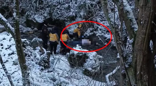 The body was found 20 meters away from the car in the stream.