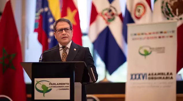 A portrait of Ali Şahin as a strategic actor in Ankara's vision of 