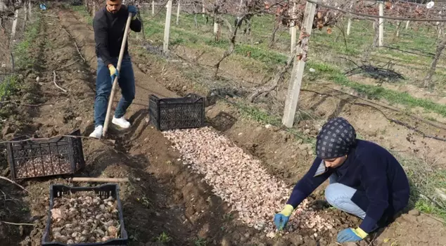 Он бросил карьеру и нашел 'белое золото' на поле, в которое вошел.