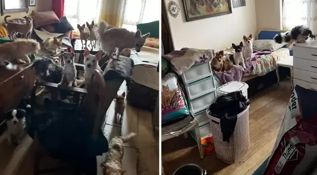 The scene that greeted me when the door opened was shocking.