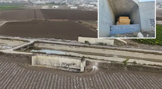 The bridge supports of the never-ending road have turned into a hayloft for 7 years.