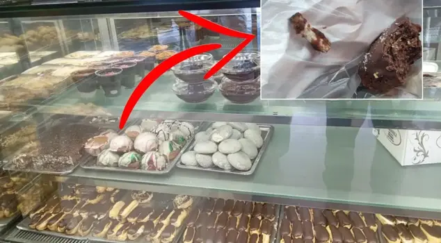 He was shocked the moment he bit into the cookie! Look what came out instead of a chocolate chip.