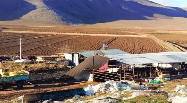 A severe storm has claimed lives! Heartbreaking news from 5 provinces.