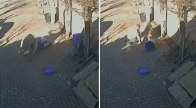 В Силиври баран, нападающий на своего хозяина, попал в камеру.