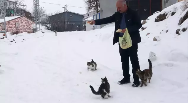 في هذه القرية، يعيش فقط المختار في الشتاء! هناك سبب واحد فقط.