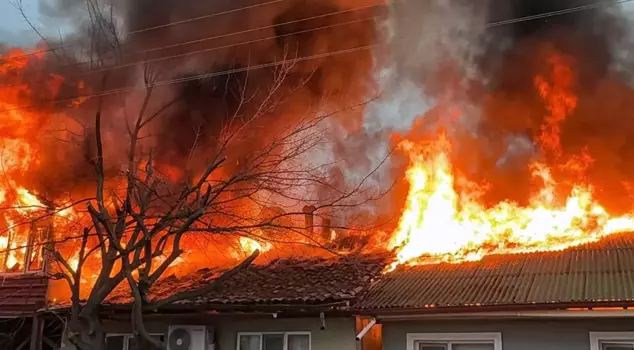 The stove lit to keep the cats warm turned into a disaster: Two houses were reduced to ashes.