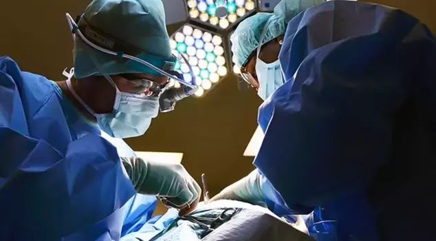 The organ mafia's aunt-nephew game has been uncovered! Instead of a doctor, the police showed up.