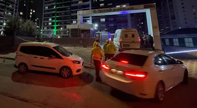 He killed his sister, seriously injured his mother, and committed suicide.