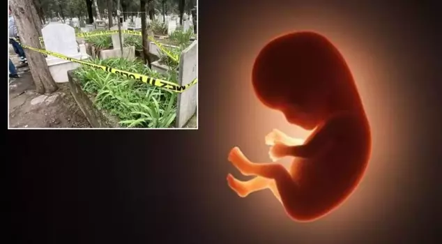 A fetus was found in a bag in the cemetery.