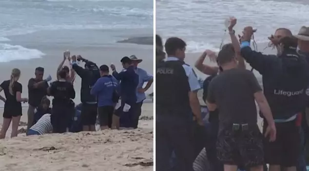 The shark severely injured the surfer! The sea turned red.