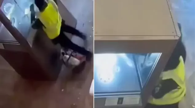 В Лувре появились первые изображения мошенничества на сумму 88 миллионов евро.