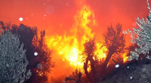 В Анталии лесной пожар, угрожавший домам, был локализован.