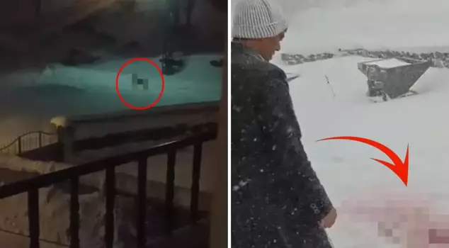 الإمام، سجل كل شيء! نزلوا إلى القرية في منتصف الليل وارتكبوا المجزرة.