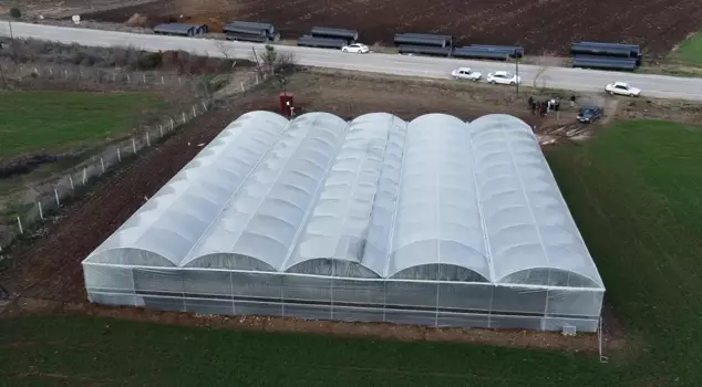 تركوا الحد الأدنى للأجور في المدينة وأسسوا أعمالهم الخاصة في القرية: العائد الموسمي 400 ألف ليرة تركية.