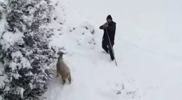 Анкарский пастух нацелил ружье на дрон, приближающийся к нему.