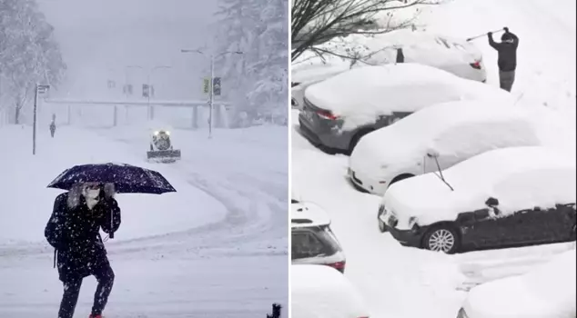 A ice storm paralyzed the U.S.: More than 500,000 people were left without electricity, thousands of flights canceled.