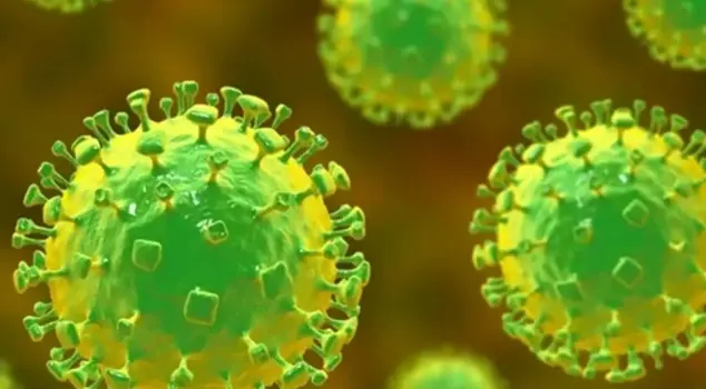 Быстро распространяющийся вирус: тревожное предупреждение от турецкого эксперта