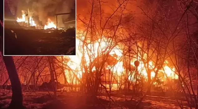 A chilling event! Found hanging from a tree 10 meters away from his burning house.