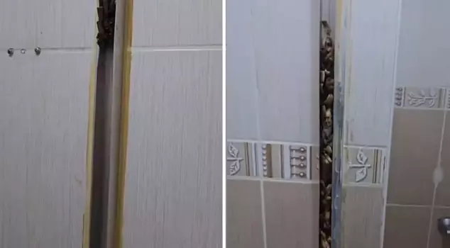 دخلت المرأة إلى المنزل الذي استأجره الطلاب، واصطدمت بمشهد جعلها تصاب بنوبة عصبية.