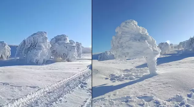 Images from beside Istanbul