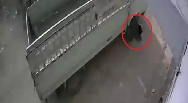 The driver who ran over the cat with his truck was sentenced to 1 month of community service at an animal shelter.