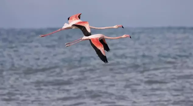 Not Mumbai, but Kastamonu! Citizens immediately grabbed their phones.