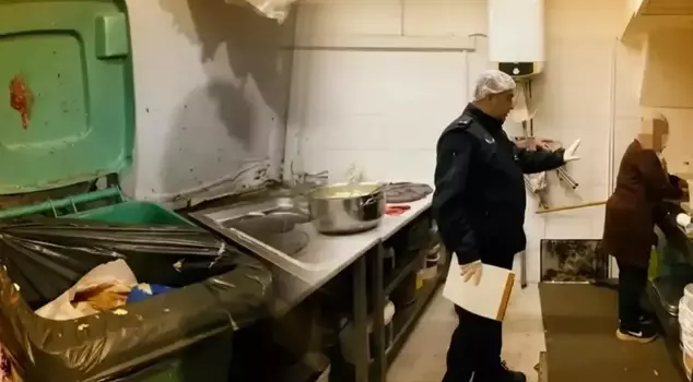 The mat being washed on the kitchen counter during the inspection was disgusting.