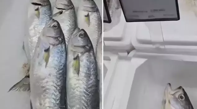 He was greatly surprised when he heard the price of the fish sold in the market.