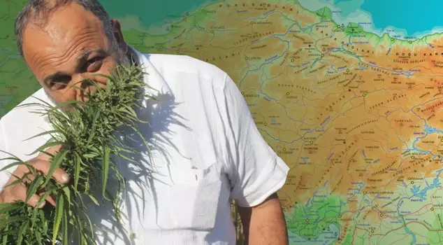 Decision in the Official Gazette: Approval for hemp production in 21 provinces.