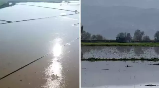 The Büyük Menderes River overflowed, submerging 2,000 acres of agricultural land.