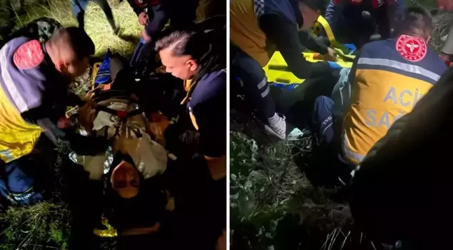 حادثة مروعة! سقط من ارتفاع 50 مترًا، والأشجار التي علقت بها أنقذت حياته.