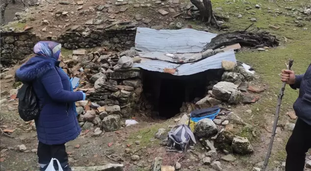 The villagers discovered it by chance! Those who passed through this hollow can't believe what they see.