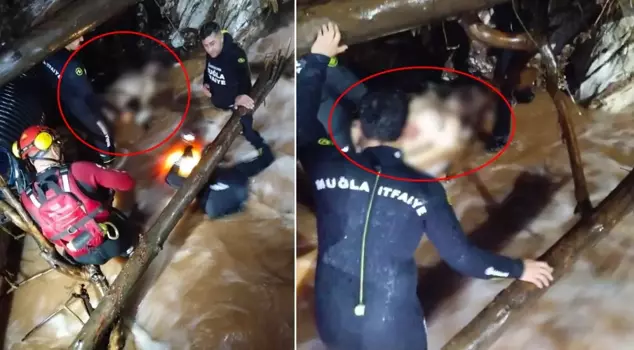 Heavy rainfall in two provinces! There are casualties.