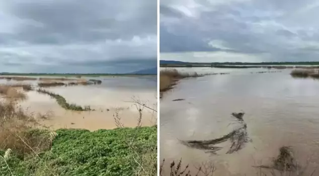 Река вышла из берегов, затопив критическую равнину сельского хозяйства.