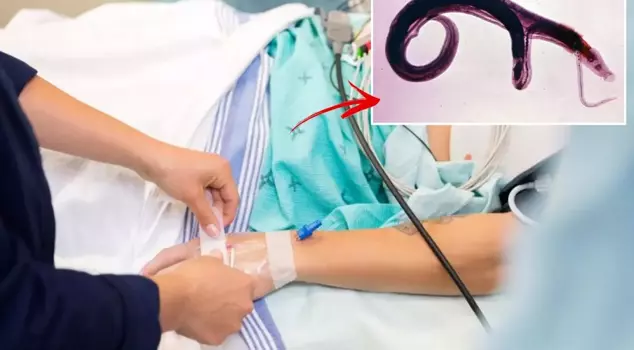 Global alert from WHO! A parasite that settles in sexual organs has evolved and may spread to new countries.