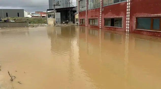 Наводнение в Ушаке: 35 предприятий затоплены.