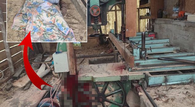 نهاية مروعة في حديقة منزله! علق رأسه في المنشار الشريطي.