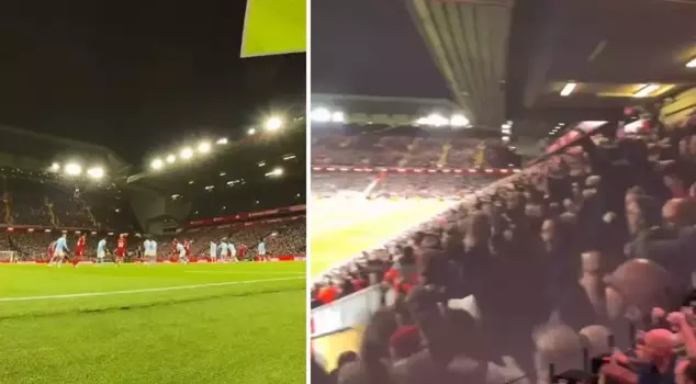 It's like a stadium! I've never seen a business like this.