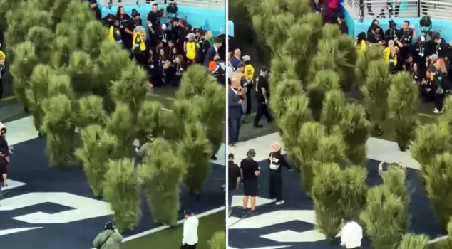 The image that made a mark on the Super Bowl final.