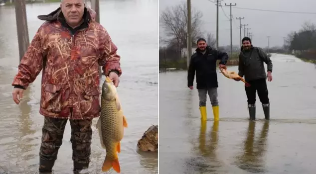 It came out from the middle of the field! It weighed exactly 7 kilos.