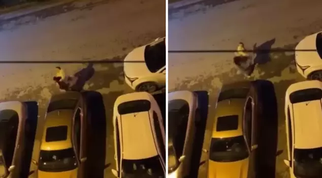 Молодую женщину несколько раз ударили кулаком посреди улицы.