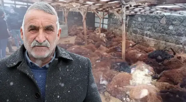 A donation that touched the citizen who lost 200 sheep overnight.